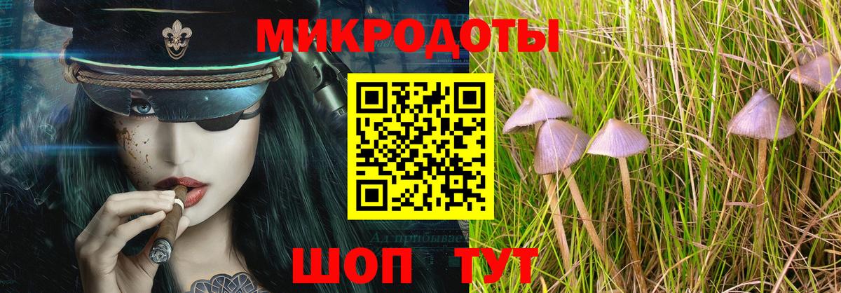 Псилоцибиновые грибы мицелий  Вход с VPN  Сосновый Бор  Галлюциногенные грибы прущие грибы 